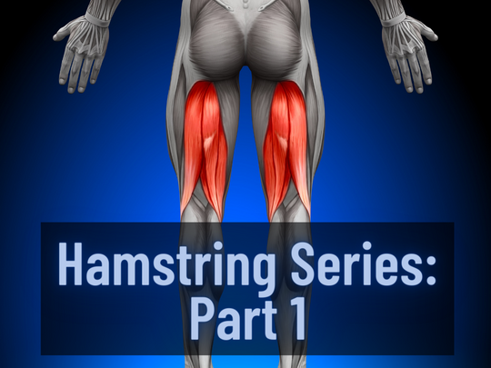 Hamstring series part 1.